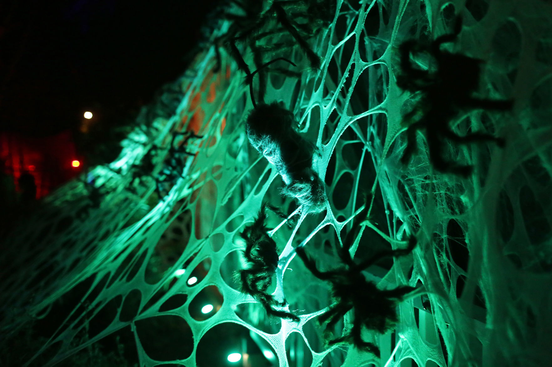 Evil Vines Cemetery